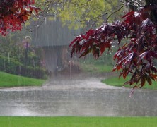 EN OCTUBRE, LOS LECTORES RECOMIENDAN… "LA LLUVIA", DE JORGE LUIS BORGES.