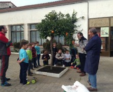 PROYECTO MEDIOAMBIENTAL " MIS AMIGAS LAS PLANTAS"