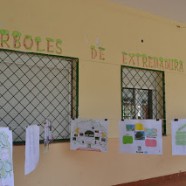 Exposición "Árboles de Extremadura"