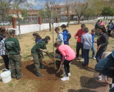 REFORESTACIÓN EN EL COLE