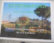 EXTREMADURA, HUERTO DE SENSACIONES EN EL CEIP GABRIEL Y GALÁN