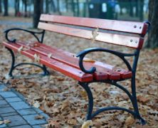 El otoño visto por María Moreno Rangel