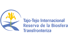 CONCURSO DE MICRORRELATOS TAJO INTERNACIONAL