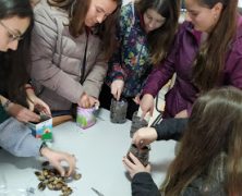 PLANTANDO LAS FUTURAS ENCINAS