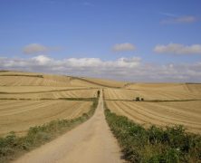 La alegría del camino