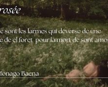 Concurso de mitos: El rocío