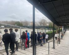 Actividad Día de la Paz