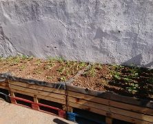 Inauguramos Huerto Escolar – 2017