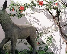 Platero y yo, de Juan Ramón Jiménez